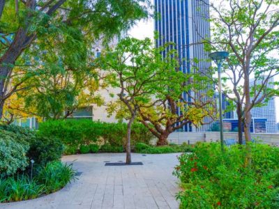 Best Commercial Landscaping