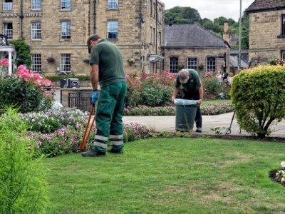 Professional Landscaping Service