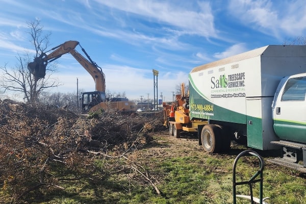 Best Tree Removal Service