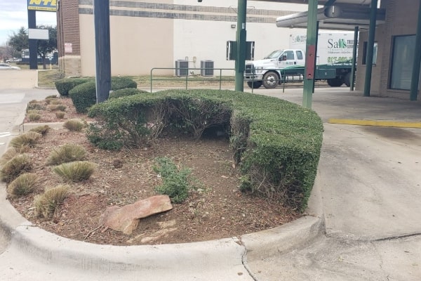 Commercial Landscaping Services