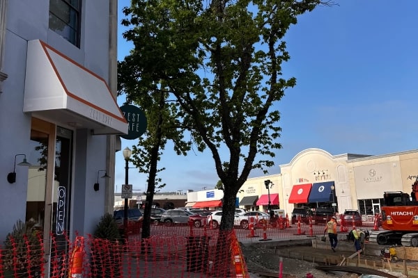 Commercial Tree Service