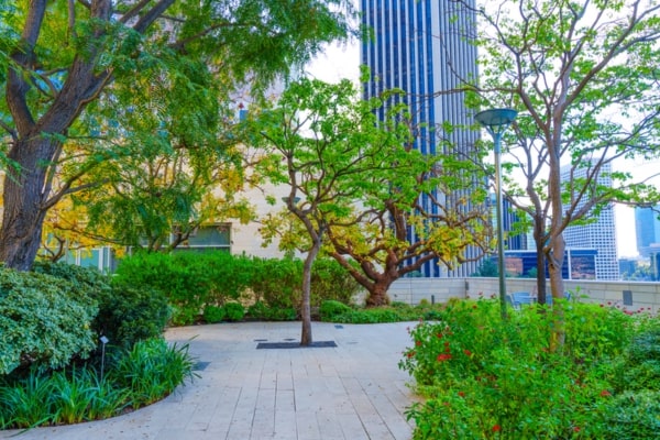 View More About Commerical Landscaping Service