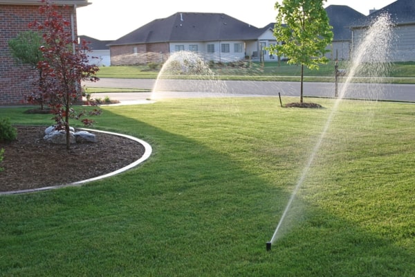 View More About Irrigation/Sprinkler Service
