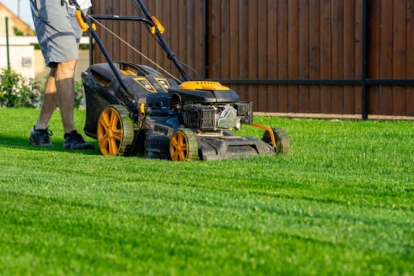 View More About Lawn Maintenance Service
